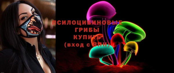 спиды Няндома