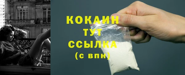 спиды Няндома