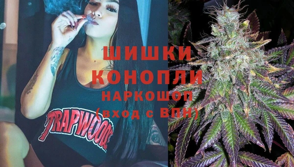 спиды Няндома