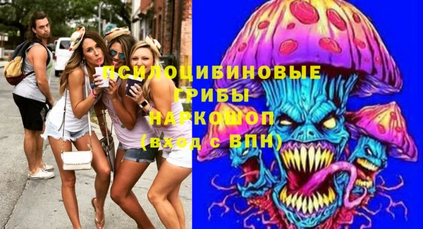спиды Няндома