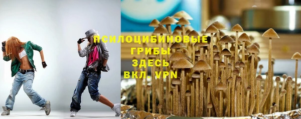 спиды Няндома