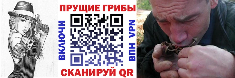 Галлюциногенные грибы Psilocybine cubensis  купить наркоту  Воронеж 